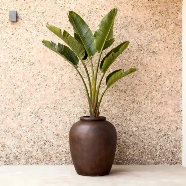 Timelss Plain Urn Planter