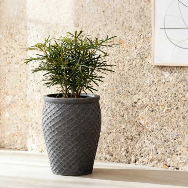 Argyle-Style Urn Planter