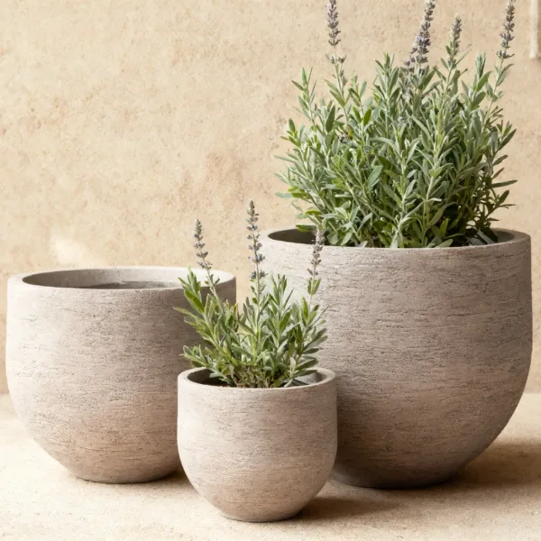 Concrete-grain Round Planter