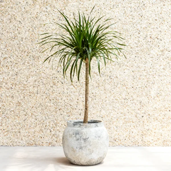 Aged Stone Round Urn Vase